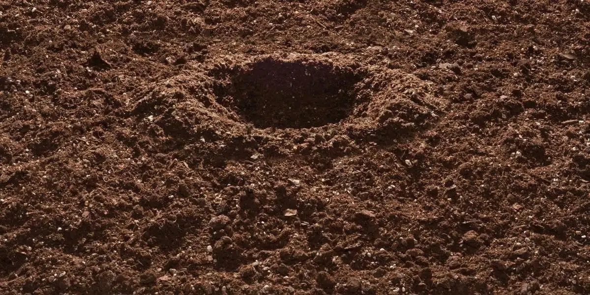 Trou dans le jardin sans monticule : causes et solutions