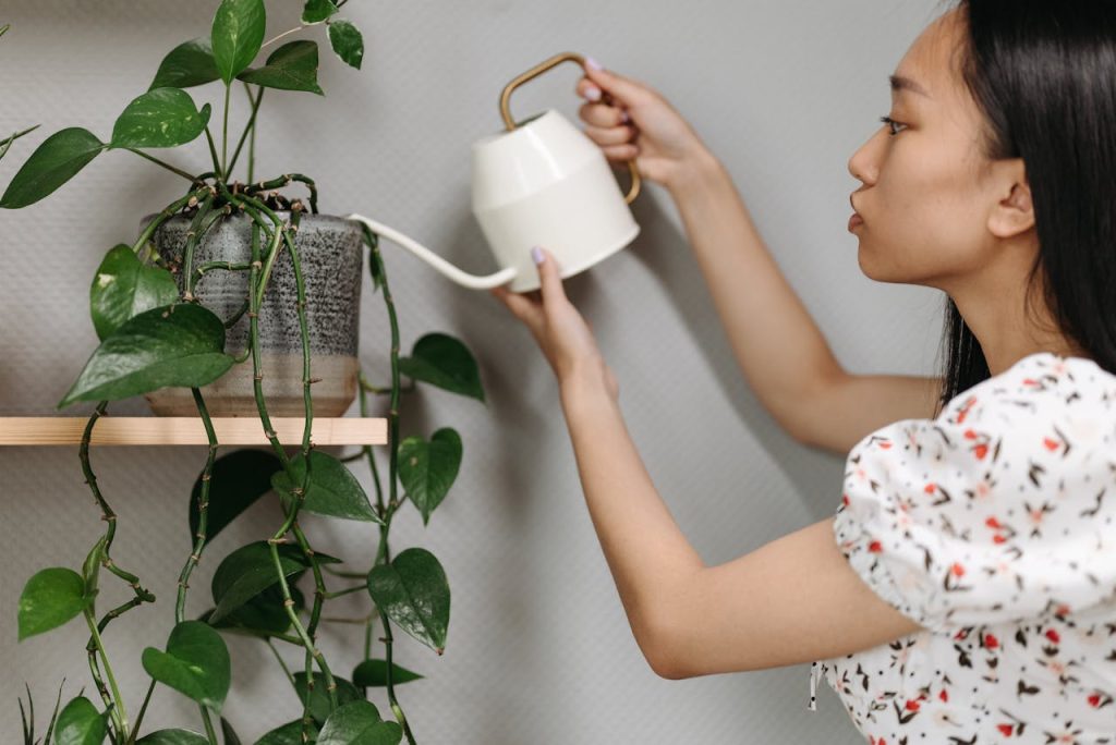 Se débarrasser des cochenilles sur vos plantes d’intérieur